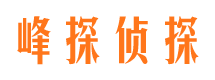 钢城市婚外情调查